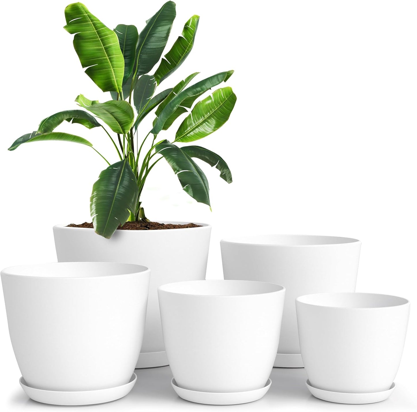 Fireegg Flower Pots, 5 Pack Indoor Plant Pots with Drainage Holes and Saucers, Plastic Planters for Houseplants, Succulents, Herbs, Flowers, Modern Plant Pots for Home Office Garden